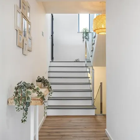 Casa Jose Antonio B By Homie